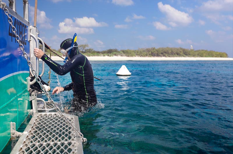 Help our researchers with citizen science.